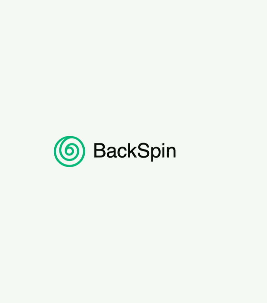BackSpin developer workflow interface